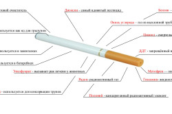 Токсичные вещества в сигарете